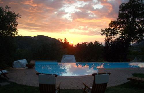 Azienda Agricola Passaro - Photo 19