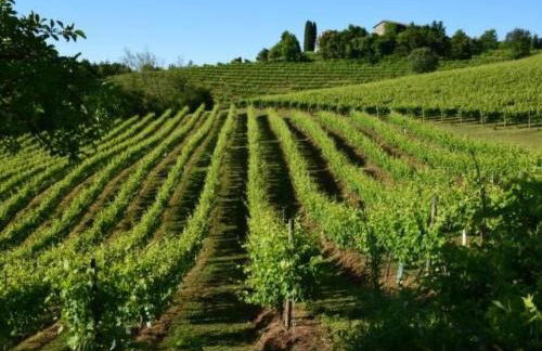 Apartment Charmante Wohnung mit privatem Garten by Interhome - Foto 34