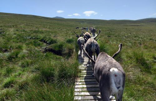 Isla Cottage - Foto 41