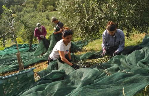 PODERE TORRICELLE 69B Pancole Gr, seaview infinity pool, jacuzzi, sauna, exclusive villa with 2 bedrooms for 4 - If you total 5 or 6 people there is an independent suite in main villa with private ensuite bathroom, kitchenette and garden dining area - Foto 76