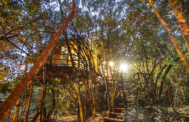 Teniqua Treetops - Foto 71