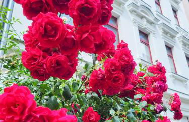 Ferienwohnung Gründerhaus - Foto 32