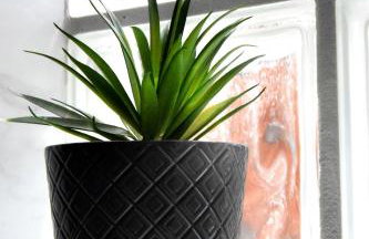 Comfort Holidays - Foto 30