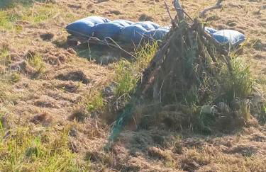 Maison à l'ancienne avec grand terrain , animaux bienvenus - Foto 76