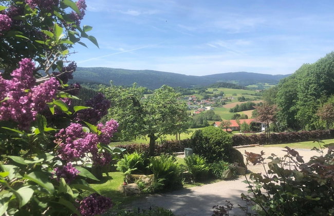 Chalet in Kollnburg Near St. Englmar Ski Area - Photo 34