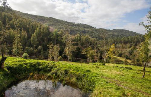 Casa de Campo "Quinta do Cadafaz" - Foto 30