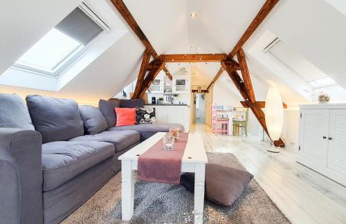 Friendly Home - "Helles Dachstudio" Köln Bonn Phantasialand - Foto 1