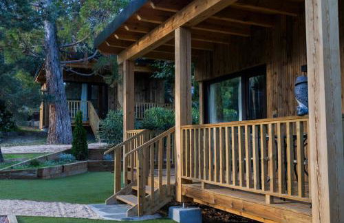 Jardín Las Secuoyas - Foto 32