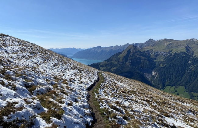 Spring Inn Apartments - Foto 47