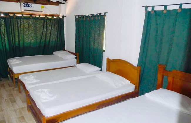 Las acacias Tolu - Foto 21