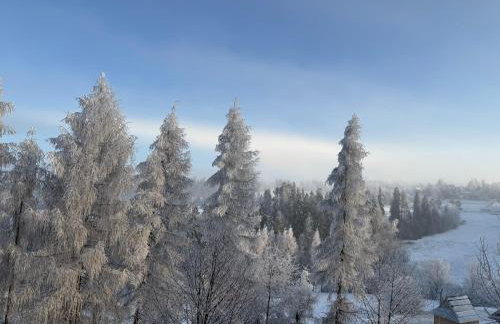 Apartament Chowańcówka z widokiem na góry typu studio obok stoków narciarskich i blisko basenów termalnych - Foto 15