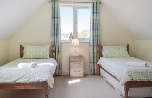 Rhosyn Gwyn - Foto 14