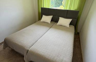 Chata Stołowa - Game Room - Bilard, SimRacing, Arcade - Foto 31