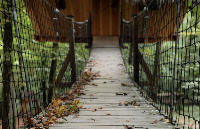 L'Arbre à Cabane - Foto 38