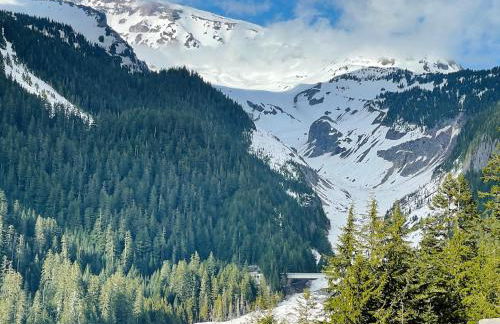 Mt Rainier Little Red Cabin - Foto 30