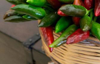 Tenuta Afra - Foto 15