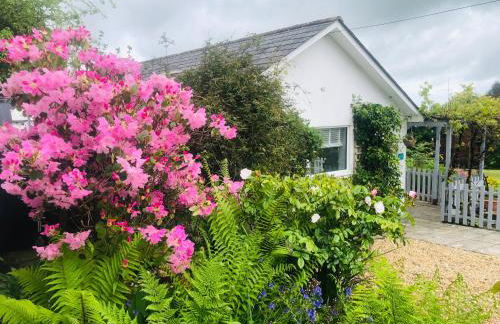 Detached, peaceful, spacious with easy access and very large garden - Foto 18