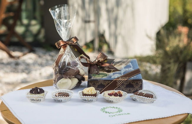 Ortenia apartments in nature - Foto 20