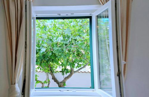 Mare`s Private House 1st floor with Pool - Foto 34