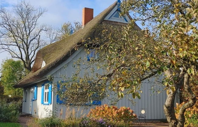 Captain House South Cats 8 - Photo 12