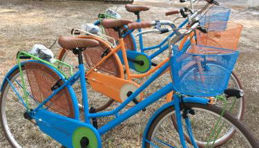 Collins Apartments - Foto 2