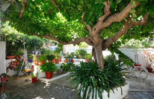 Irini House - Foto 38