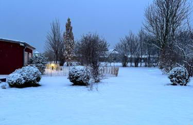 Ferienhaus am Saaler Bodden - Foto 31