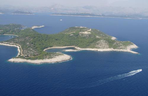 Apartmani Popović - Foto 50