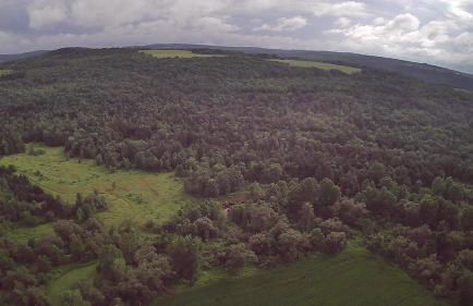 Creekside Escape on 200 acres - Foto 29