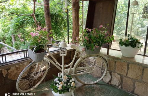 Melly's home country house alle pendici del Partenio - Foto 57