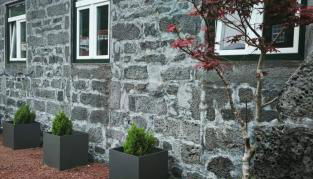 Cá Por Casa Pico-Criptoméria - Photo 2