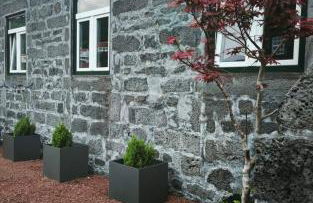 Cá Por Casa Pico-Criptoméria - Photo 2