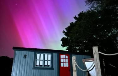 Kenny’s Hut - Foto 31