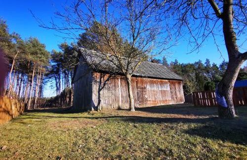 Zielona Chałupa - Foto 14