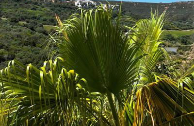 Home in Alcaidesa - sea & golf view with swimming pool - Foto 17