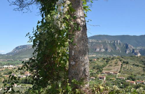 Rigoletto Cilento with private garden and pool - Foto 33