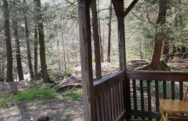 Abrams Creek Center - Foto 37