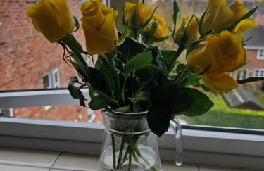 Alexandra Park - Foto 26