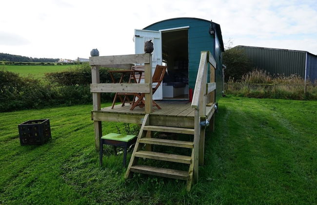 Shepherd's Hut @ Westcote - Foto 19