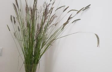 Apartament Wiejska Sielanka - Photo 18