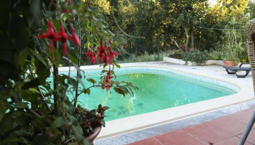 Sossego na cidade - Foto 4