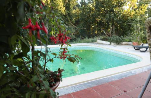 Sossego na cidade - Foto 4