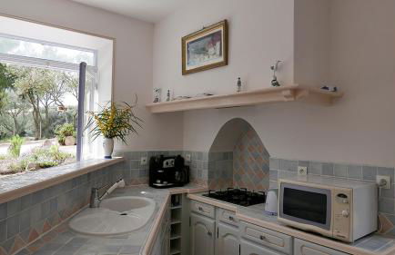 Les Figuiers - Foto 51