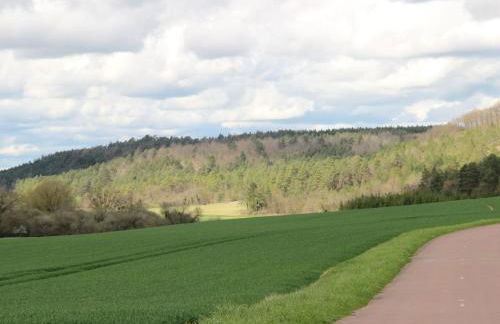 Elegant Family Home in Bouix - Foto 23