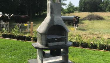 Ferienhaus am Heringskoop - Foto 3