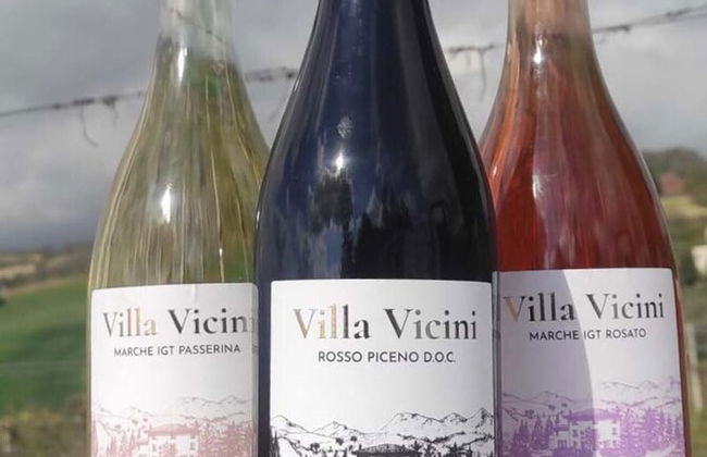 Glamping at an Agriturismo in the Vineyard - Foto 15