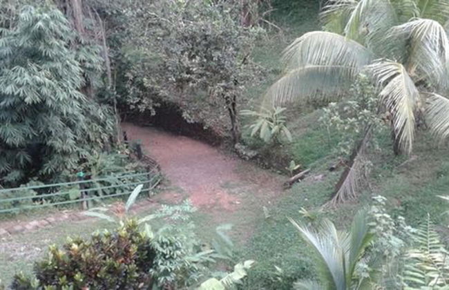 Drake Lapas - Foto 22