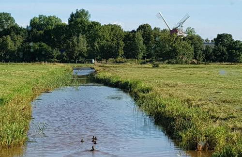 Johannes Hof - Foto 32