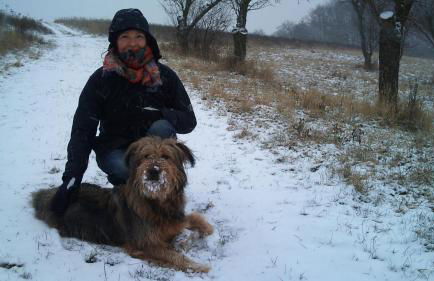 Fewo Rheinwein 1 "ausgezeichnet zum wandern und radfahren" mit Wallbox - Foto 33