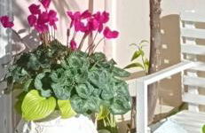 Three Goods Trikala Meteora - Foto 45